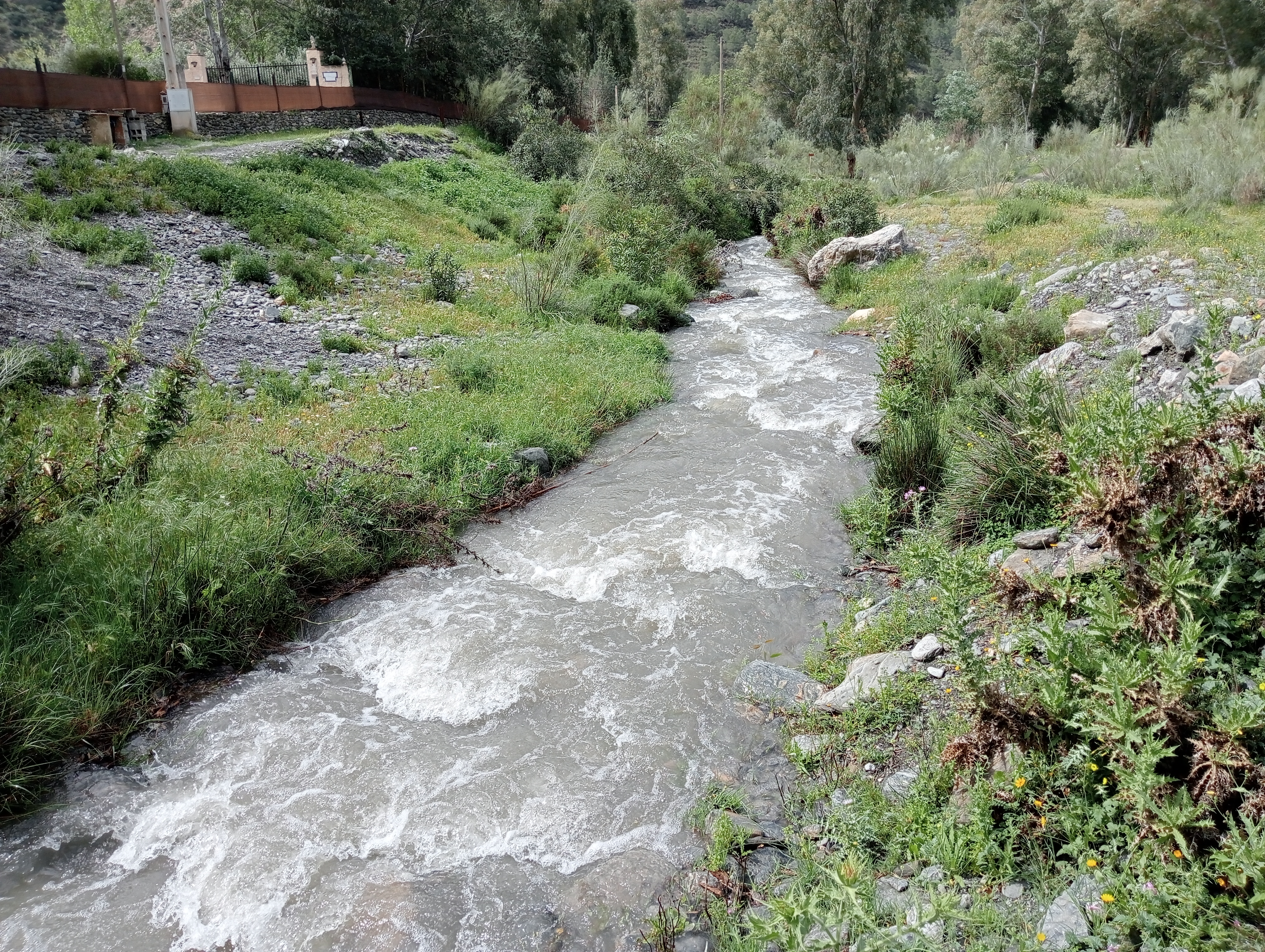 Río Chico 05.jpg