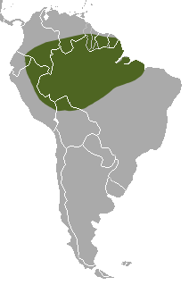 Distribución geográfica de Mustela africana
