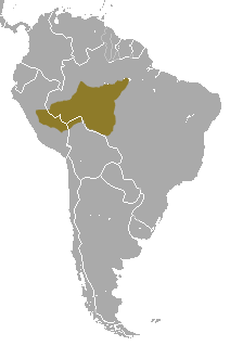 Distribución del mico nocturno de cabeza negra