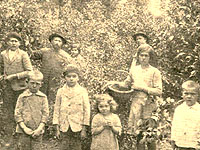 Archivo:Ukranian immigrants cropping yerba mate in Tres Capones, Misiones