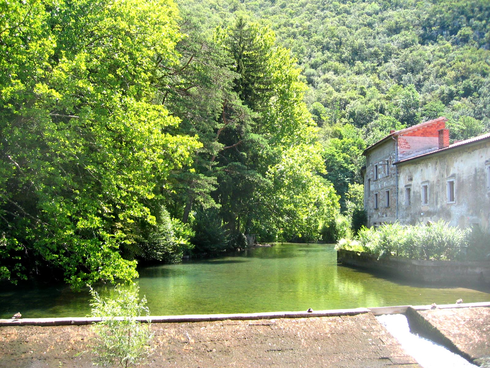 Vipava-Izvir.JPG