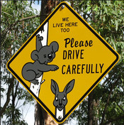 Archivo:Panneaux koala kangourou
