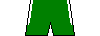 Kit shorts ire24a.png