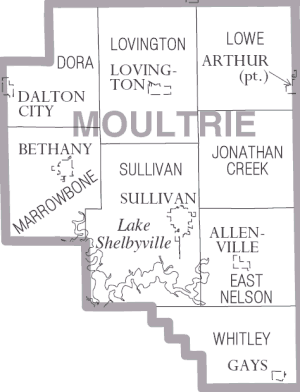 Archivo:Map of Moultrie County Illinois