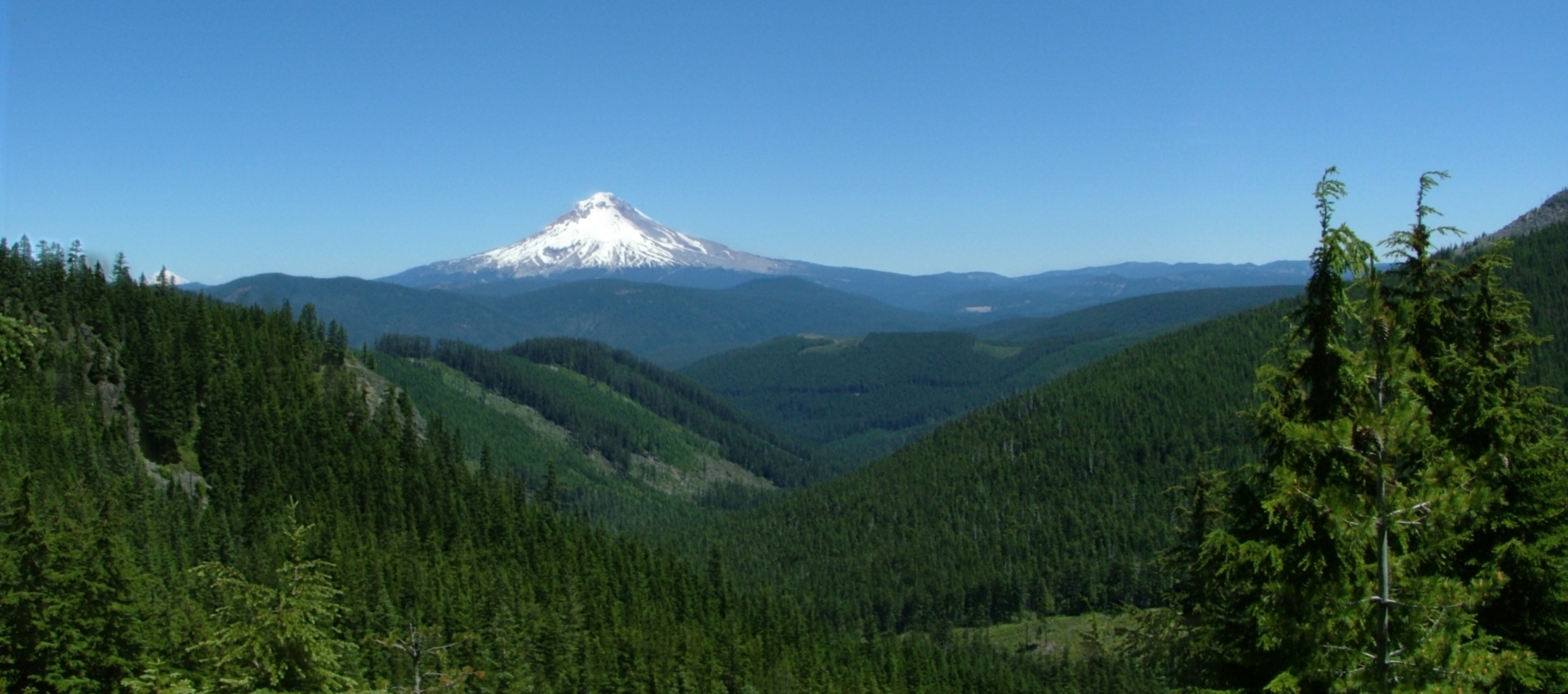 Mt Hood Natl Forest.jpg