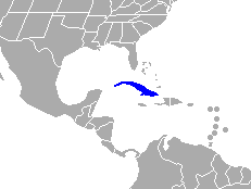 Distribución geográfica del vireo cubano.