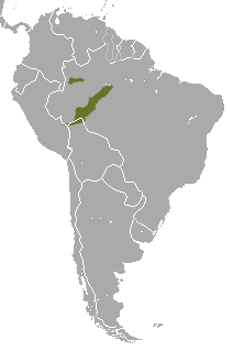 Distribución del tamarino labiado