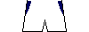 Kit shorts crc24a.png