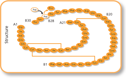 Insulin Aspart Structural Formula