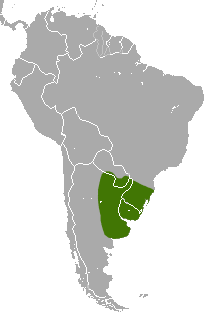 Distribución del armadillo de nariz larga del sur