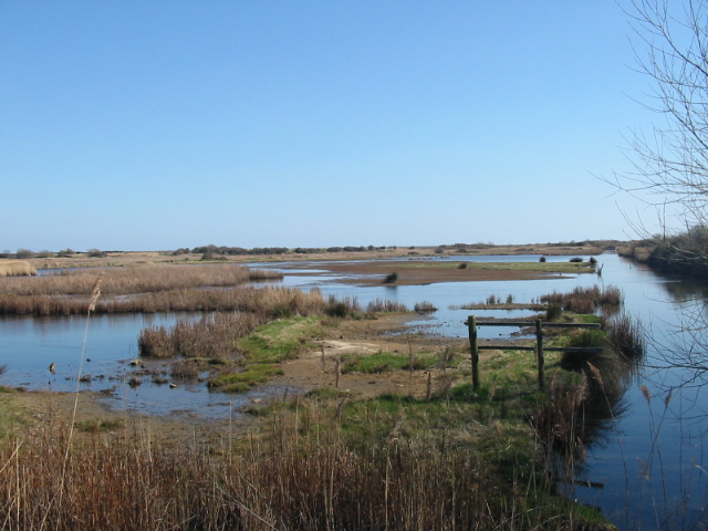 Lodmoor Nature Reserve - geograph.org.uk - 147849.jpg