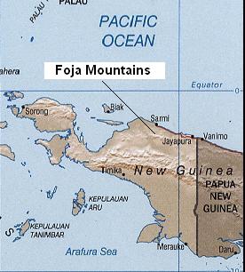 Ubicación de las Montañas Foja en Papúa, (Indonesia), uno de los lugares donde habita el Dendrolagus pulcherrimus