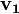 \mathbf{v_1}
