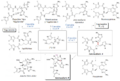 ALCALOIDES DIMÉRICOS DE LAS CLATRODINAS