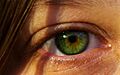 Beautiful green eye