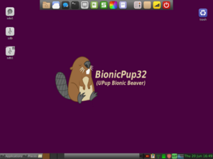 Archivo:BionicPup
