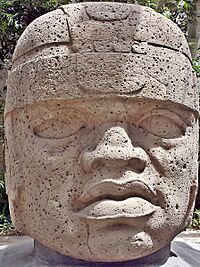 Archivo:Cabeza Colosal nº1 del Museo Xalapa
