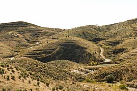 CabezodelaJara07