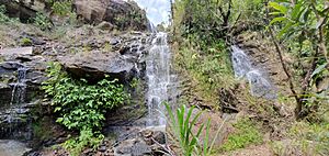 Archivo:Cascada en Carrizal