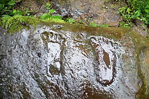 Archivo:Cascadas del valle misterioso Huellas