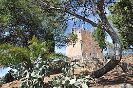 Castillo de Sorihuela - vista general.jpg