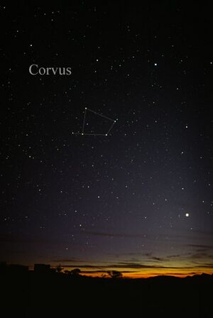 Archivo:CorvusCC