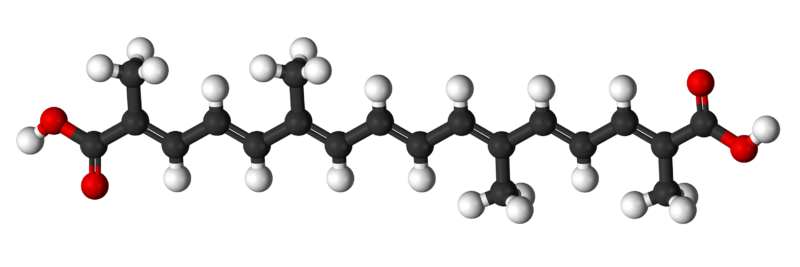Crocetin-3D-balls-(rotated)
