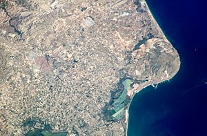 Archivo:Elche desde ISS005 ISS005-E-13411