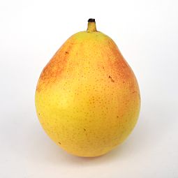 Ercolina pear 2017 A1