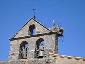 Archivo:Espadaña de la iglesia de San Martín de Tábara