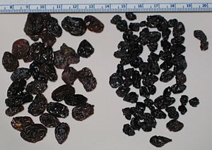 Archivo:Grape Rasins plus Zante Currants
