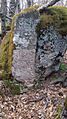 IMG-20170305-WA0002