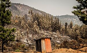 Archivo:Incendios 2017 Cauquenes Cerros