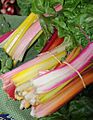 June 3 Farmers Market, Harrisonburg, Va., 2010 (4954061444)