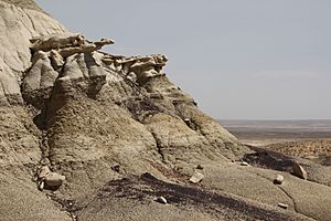 Archivo:Kirtland Formation Outcrops Near Coal Creek by Nick Longrich