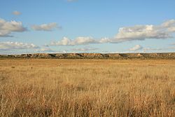 Archivo:Llano Estacado Caprock Escarpment south of Ralls TX 2009