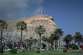 MORRO DE ARICA.jpg
