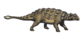 Mirrored Ankylosaurus magniventris reconstruction