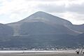Murlough Beach, August 2010 (04)