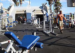 Muscle Beach Venice 3.jpg
