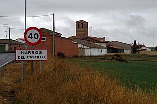 Narros del Castillo 01 by -dpc.jpg