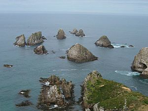 Archivo:Nugget Point