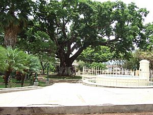 Archivo:Parque de Turín