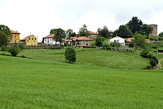 Quijas 2.jpg
