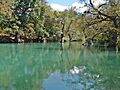 Río Lagartero Chacaj, Nentón - 50927880056
