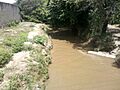 Rio Aragua desde el Puente - panoramio