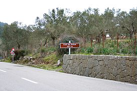 Sóller - Coll de Sóller 01 ies.jpg