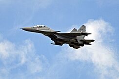 Archivo:SU-30MKI-g4sp