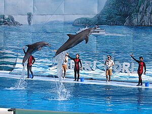 Archivo:Safari World