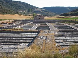 Salinas de Saelices de la Sal.JPG